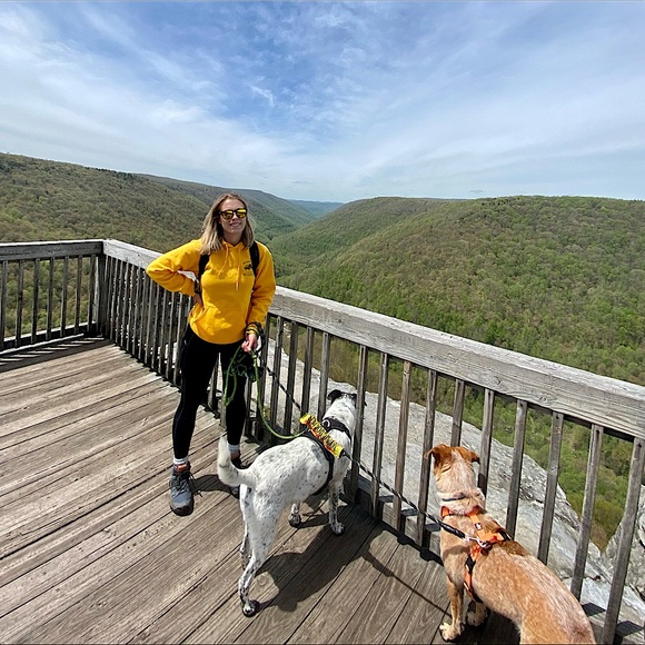 Meet your Posher, Brienne - Picture 1 of 3